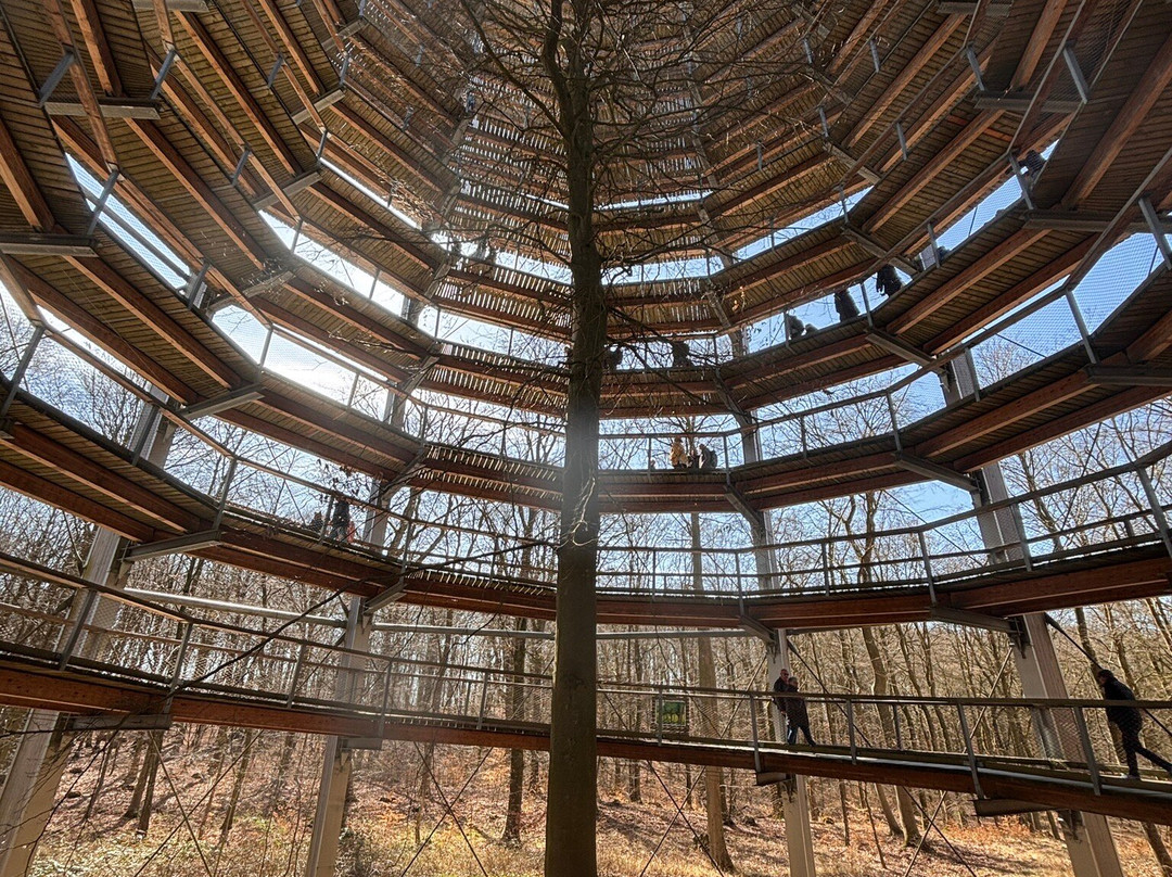 Baumwipfelpfad im Naturerbe Zentrum Rügen-奥茨巴德宾兹必去景点