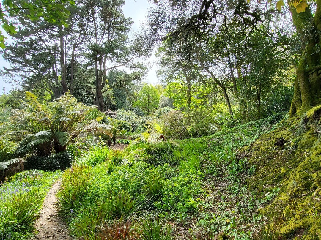 Trewidden Garden-Newlyn必去景点
