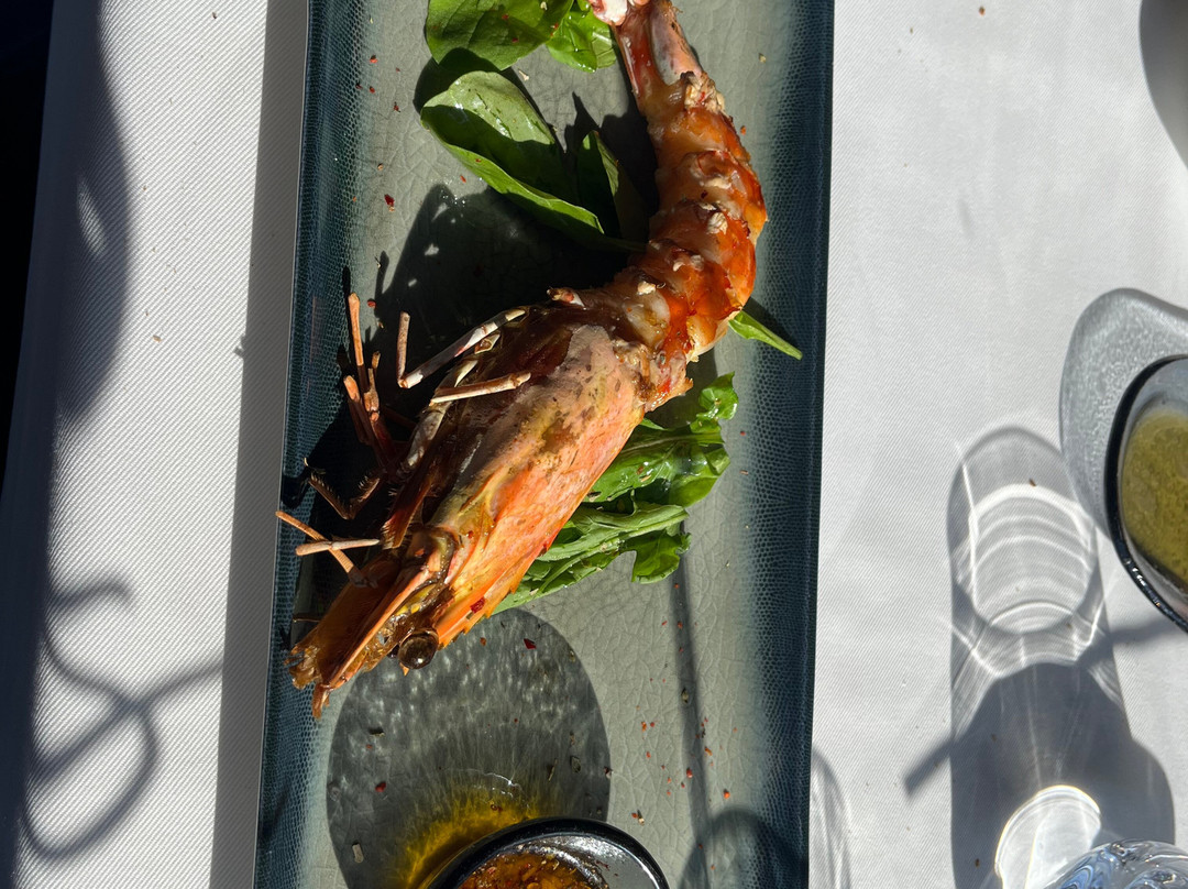 Sargus Seafood & More