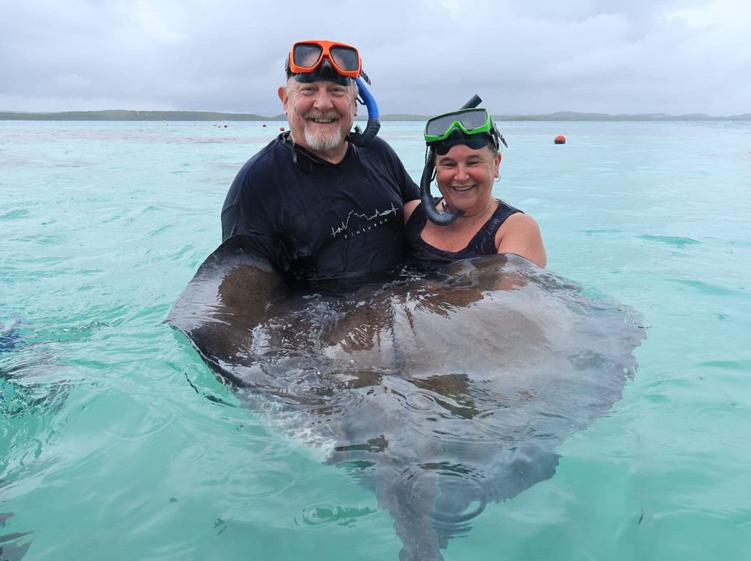Stingray City景点图片