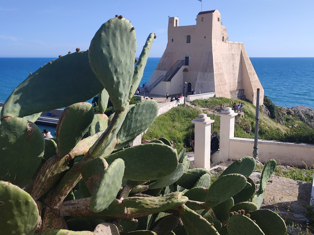 Torre Truglia景点图片