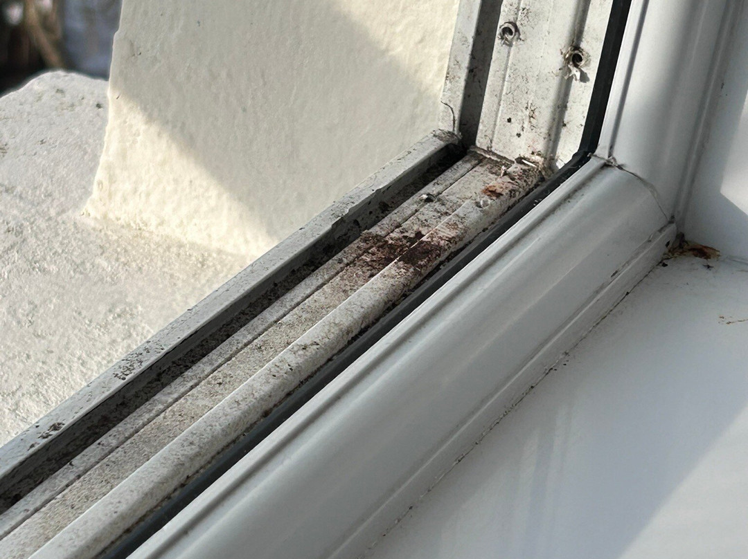 The Top House Inn主图