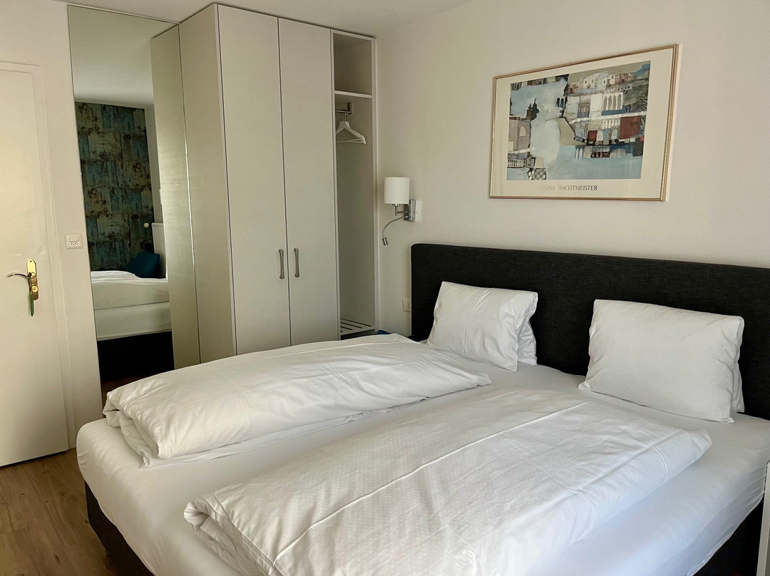 Hotel Schmid & Alfa主图