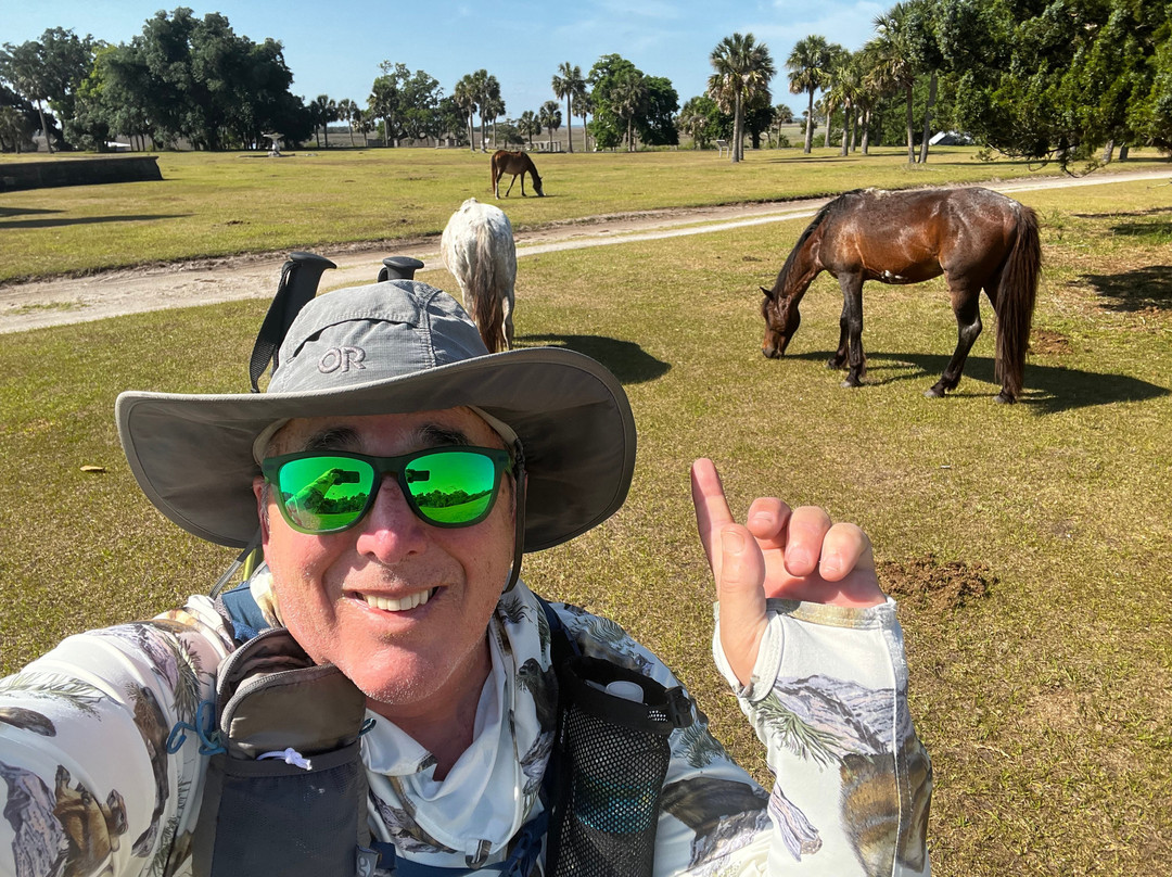 Cumberland Island Ferry-St. Marys必去景点