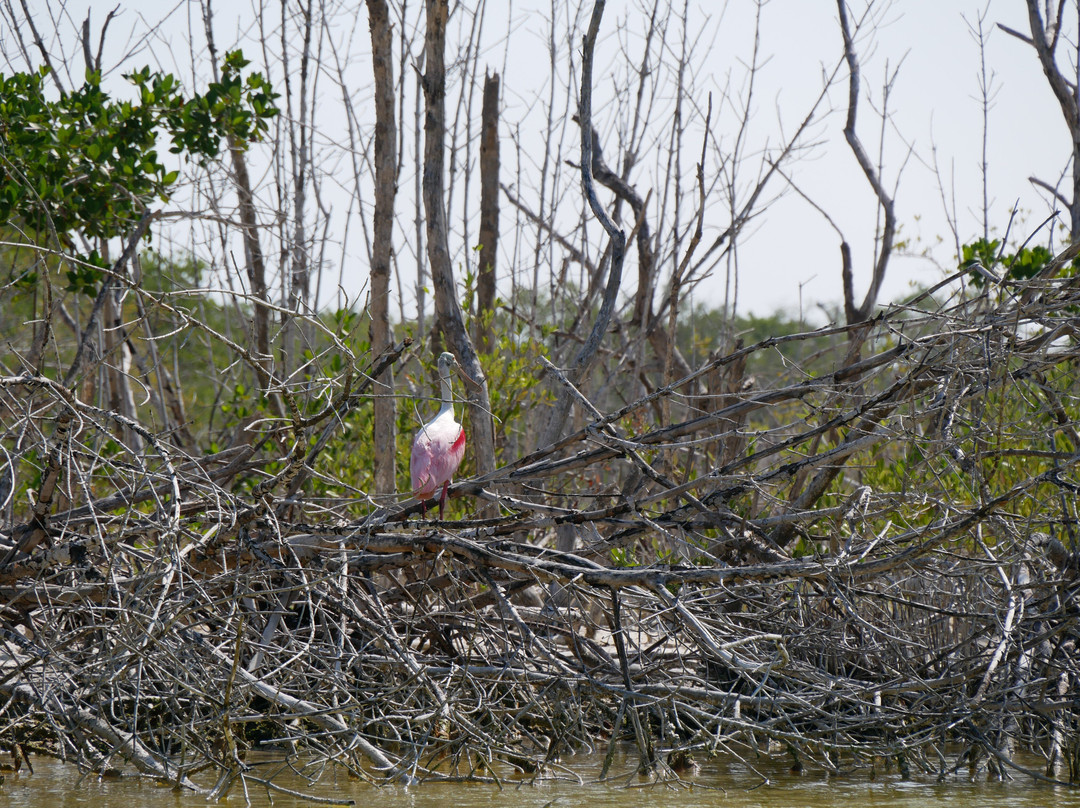 Boat tour with Martín Aguiñaga-里奥拉加托斯必去景点
