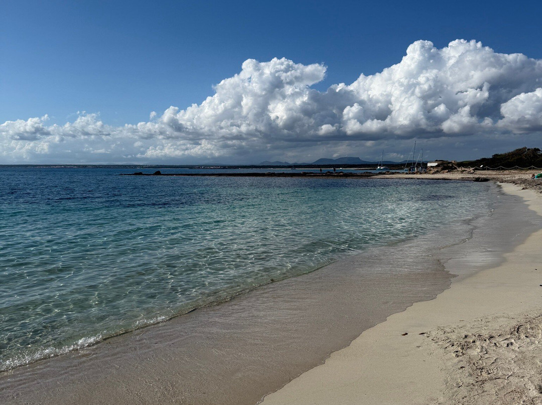Playa dels Estanys-Colonia de Sant Jordi必去景点