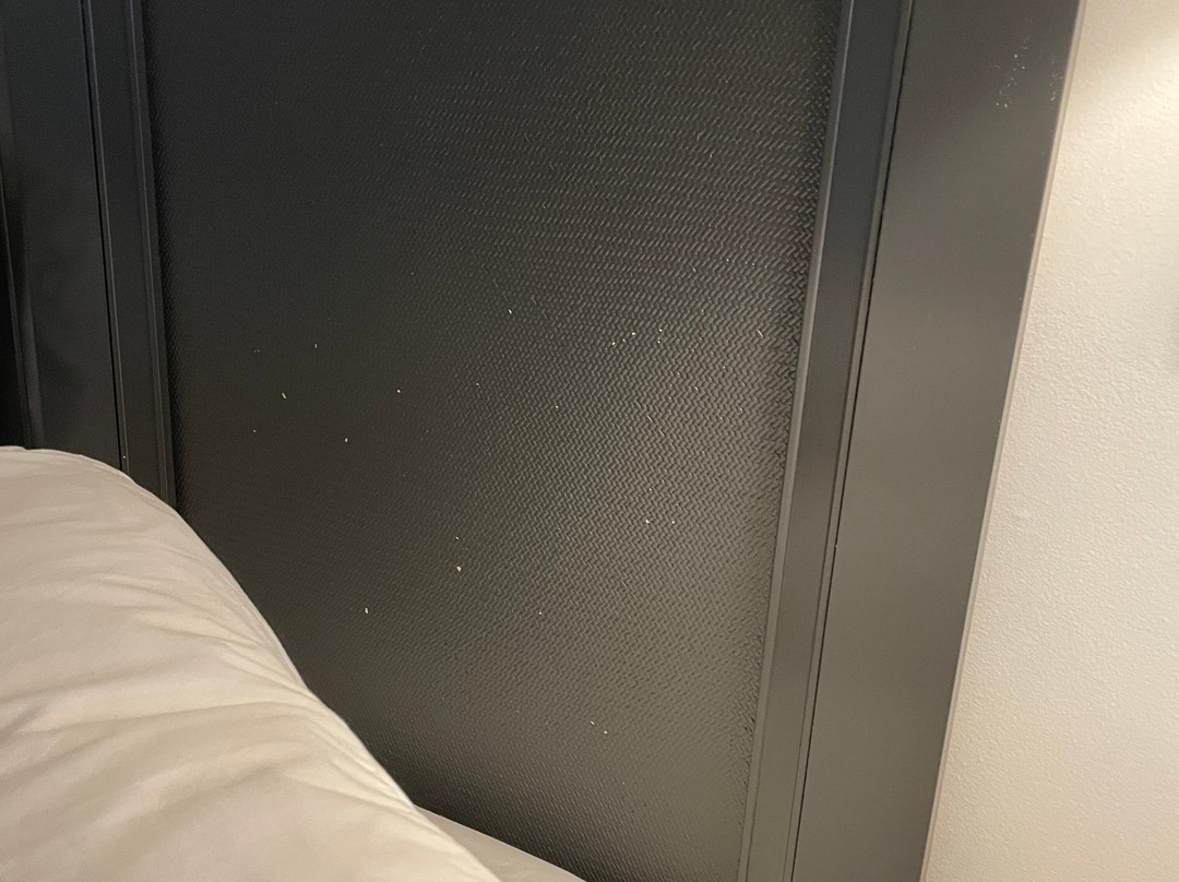 The Beach House主图