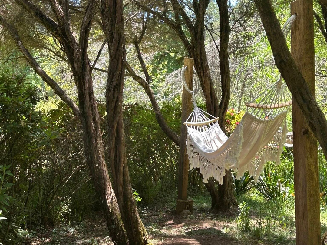 Eleusinia Retreat-巴耶－德布拉沃必去景点