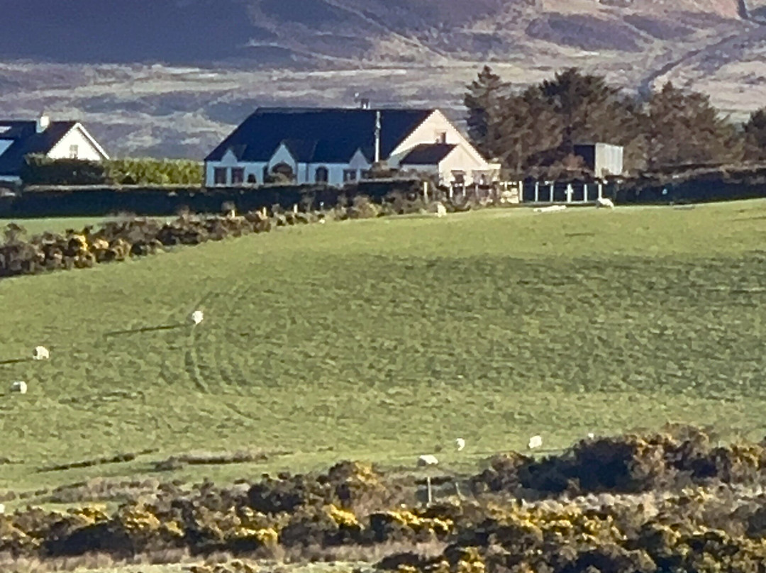 Carlingford Yoga景点图片