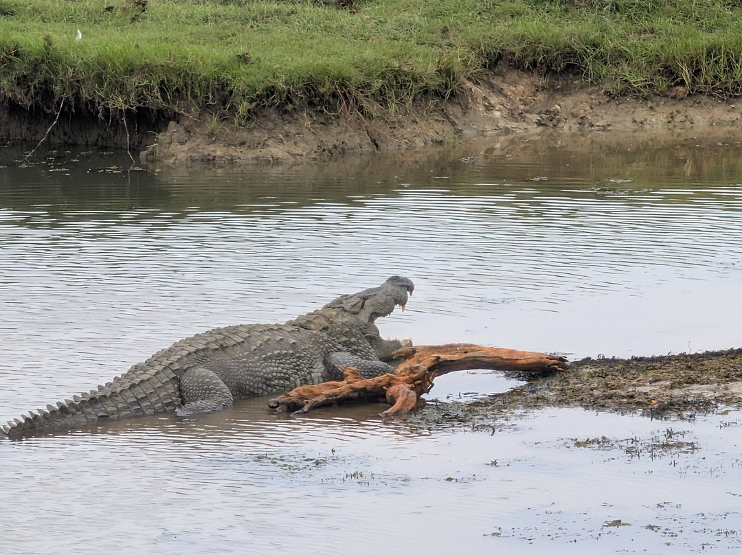 Spotting Trails-雅拉国家公园必去景点
