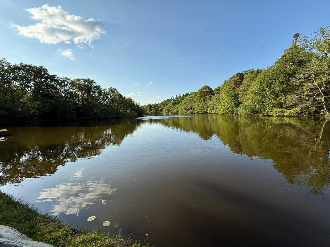 Virginia Water lake景点图片