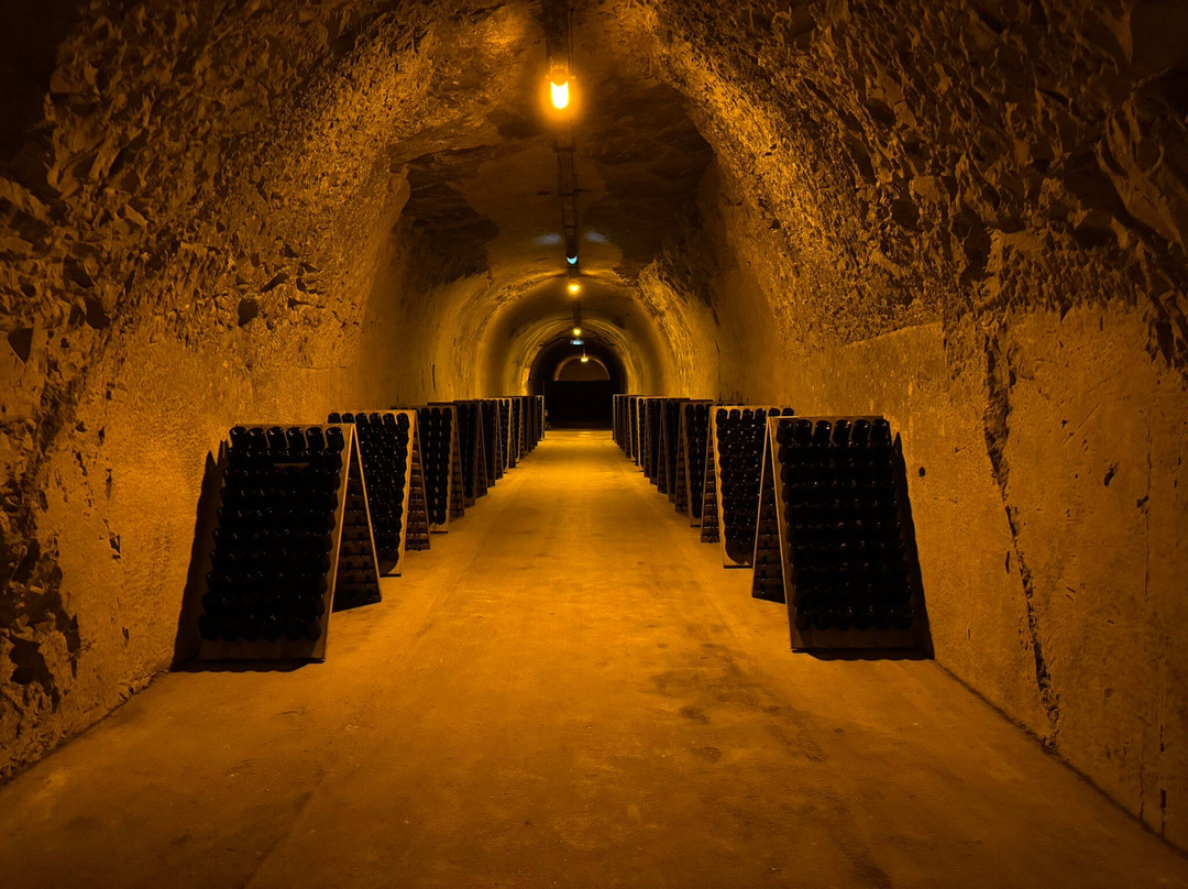 Champagne Taittinger景点图片