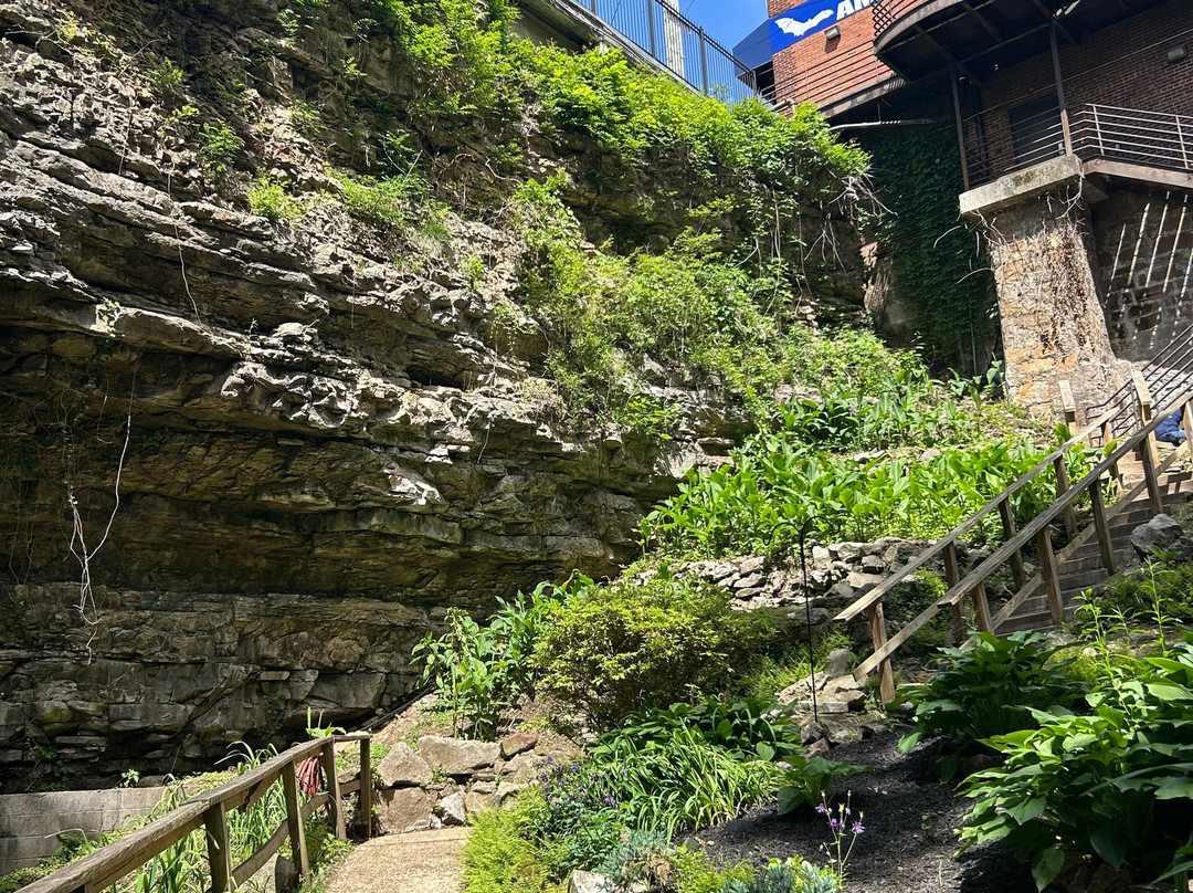 Hidden River Cave and American Cave Museum-Horse Cave必去景点