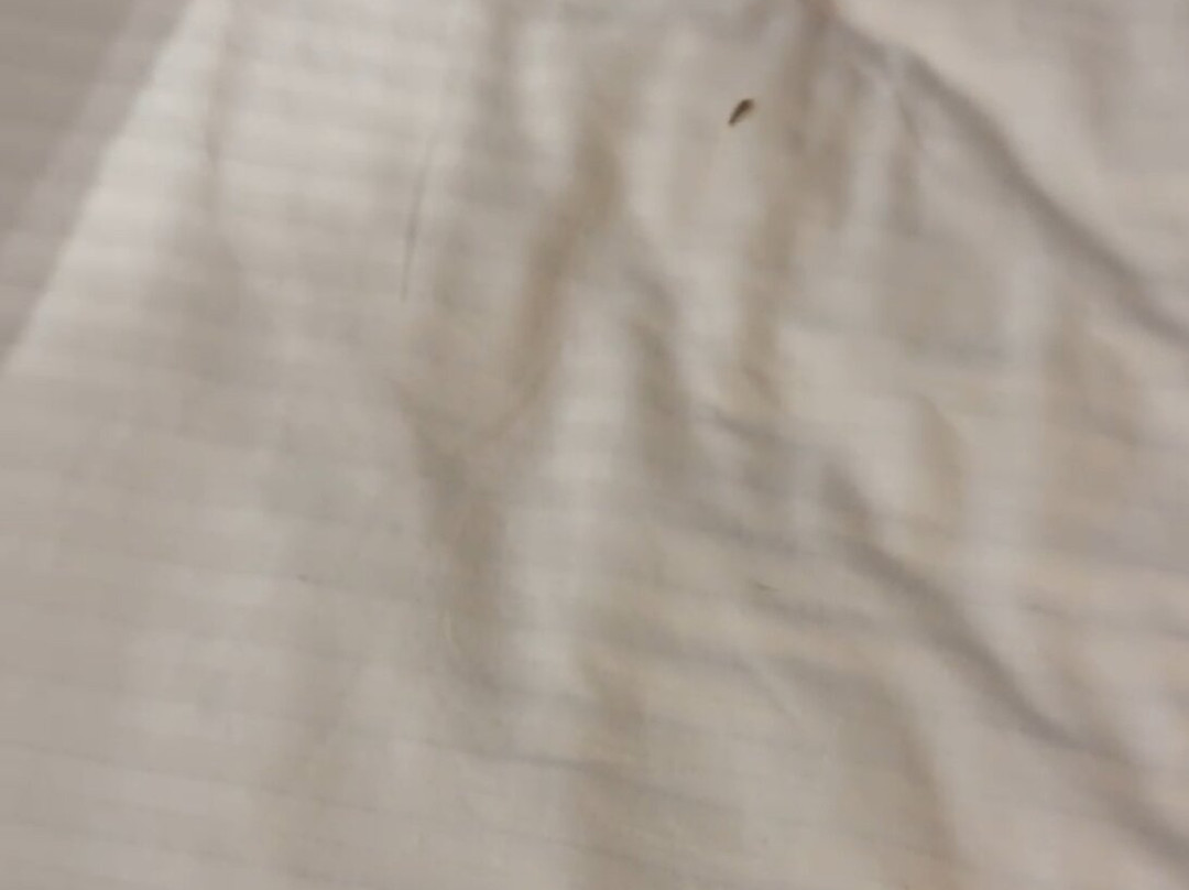 La Quinta Inn & Suites by Wyndham McKinney主图