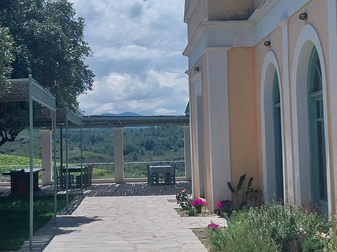 Tsambika Beach-Archangelos必去景点