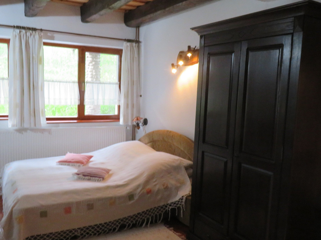 Guesthouse Doina主图