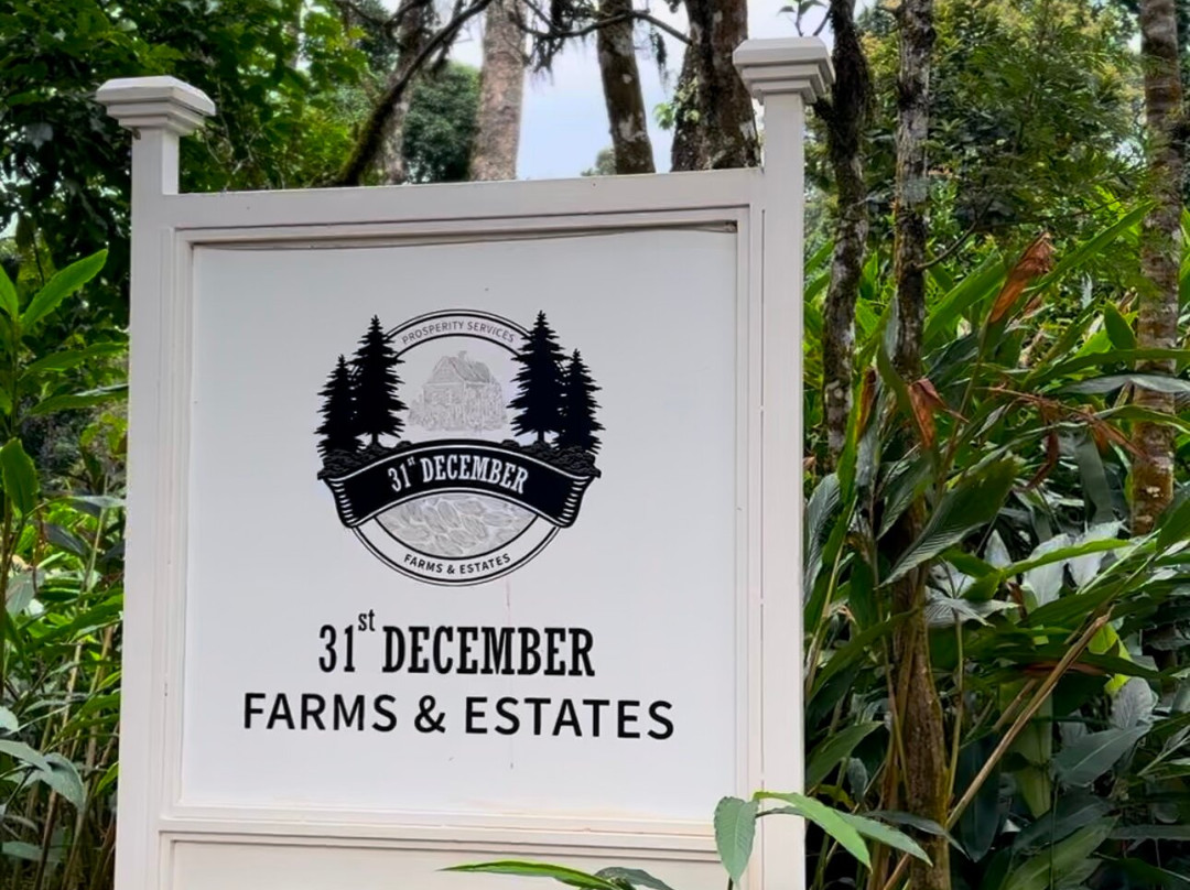 31st December Farms & Estates Munnar主图