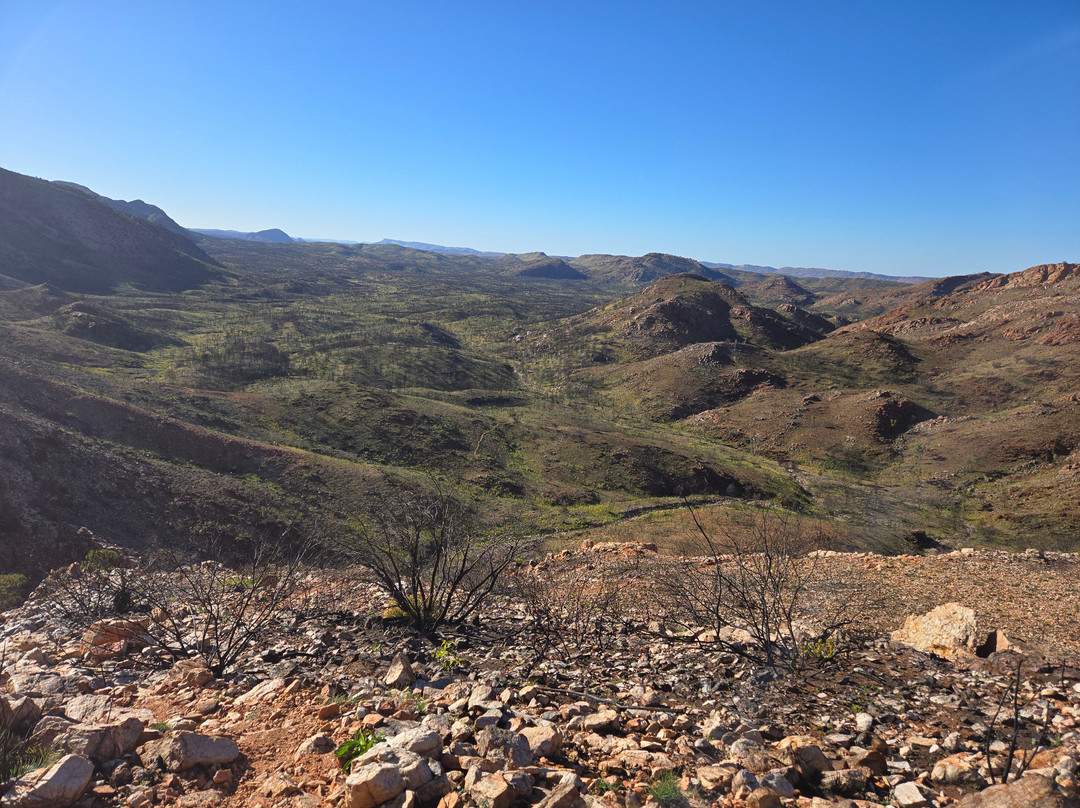 Larapinta Trail Trek Support-爱丽斯泉必去景点