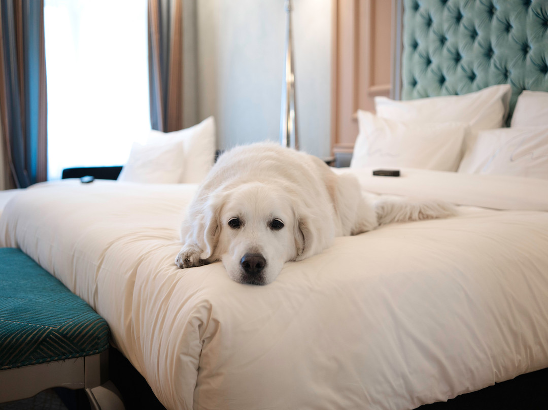 布达佩斯阿丽亚酒店主图