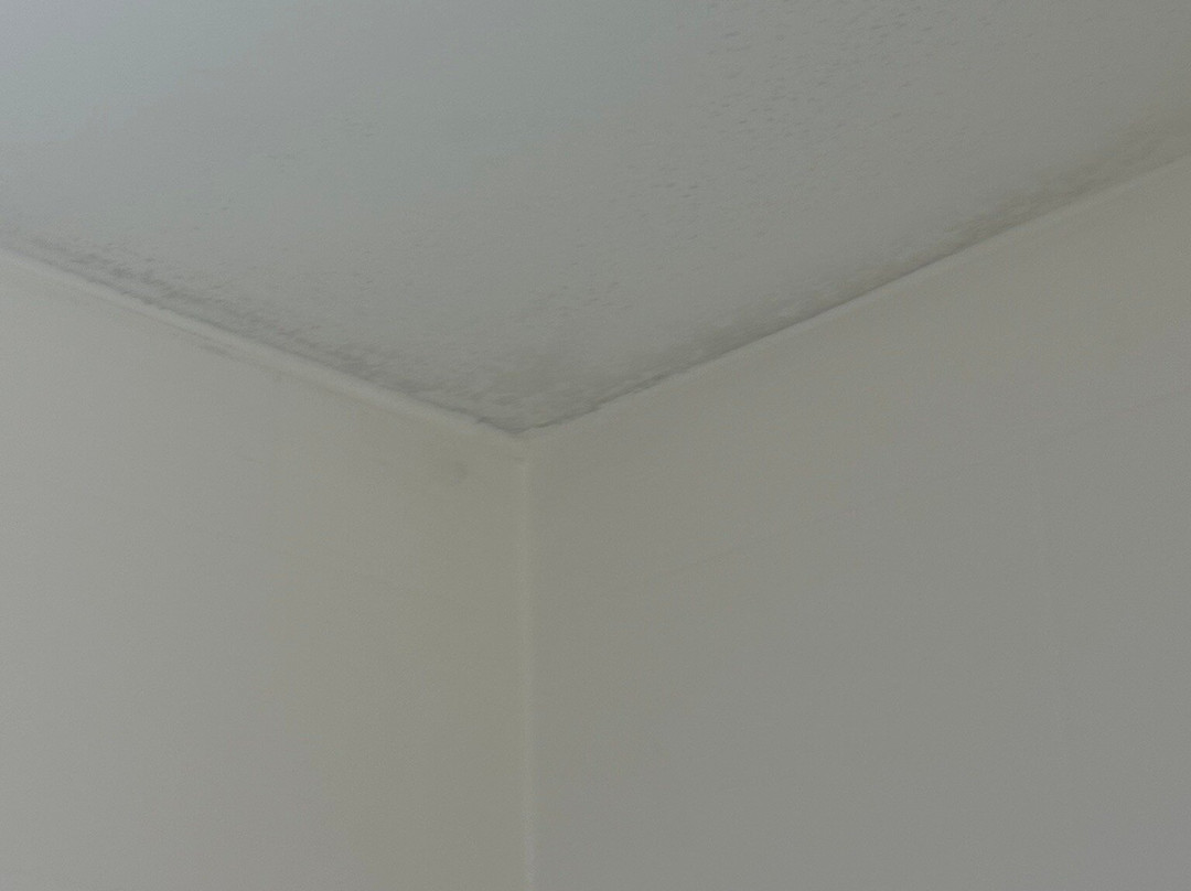 Holiday Inn Express & Suites Biloxi- Ocean Springs By IHG主图