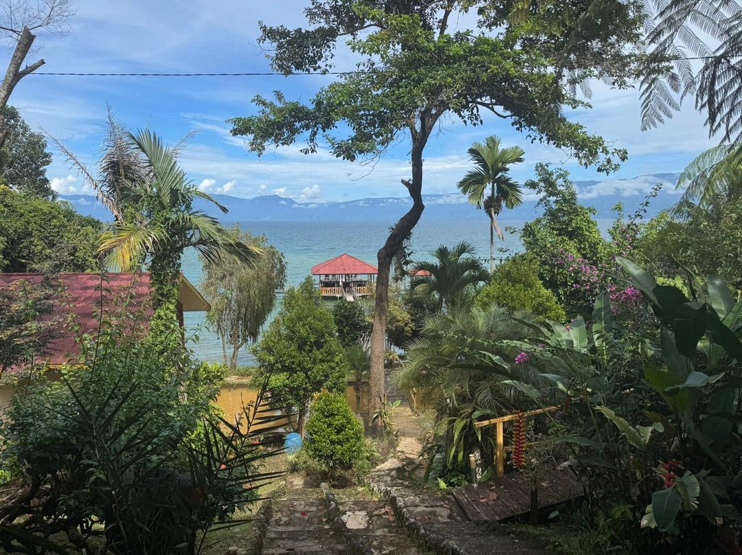 Dolidi Ndano Towale主图