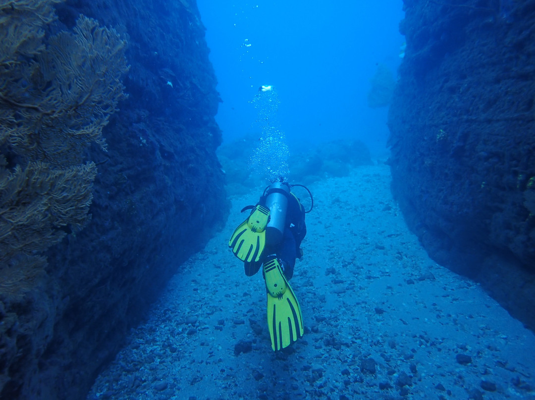 Dodo Divers Mauritius-卡罗迪勒必去景点