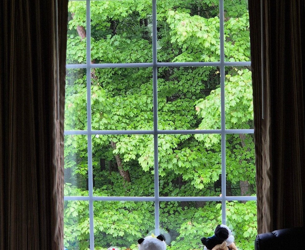 Cobblestone Hotel & Suites - Greenville主图