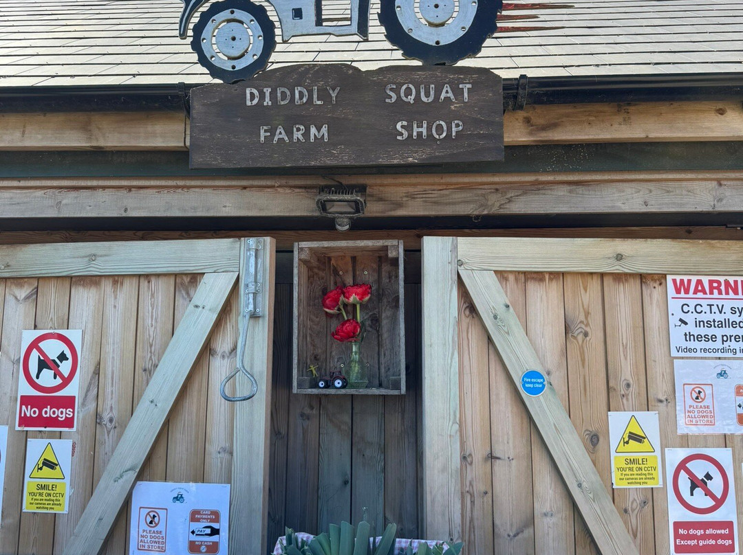 Diddly Squat Farm Shop景点图片
