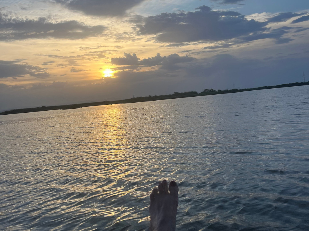 Visit Albufera-巴伦西亚必去景点