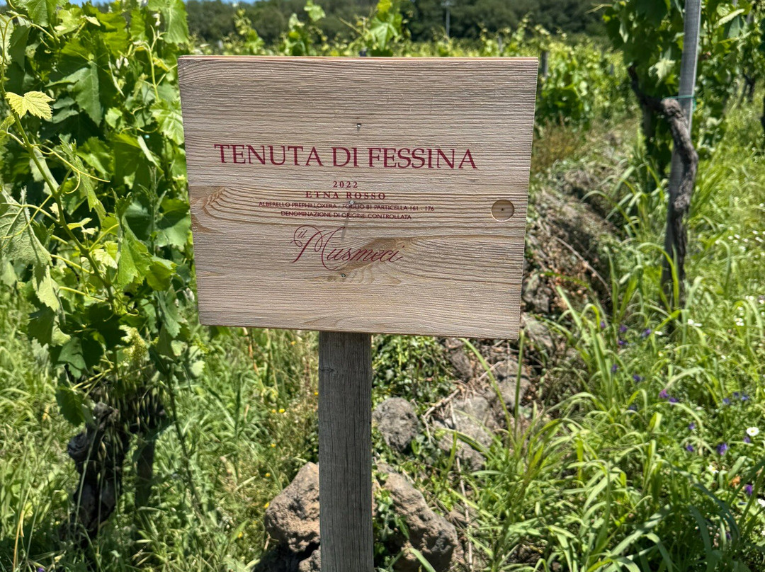 Tenuta di Fessina主图