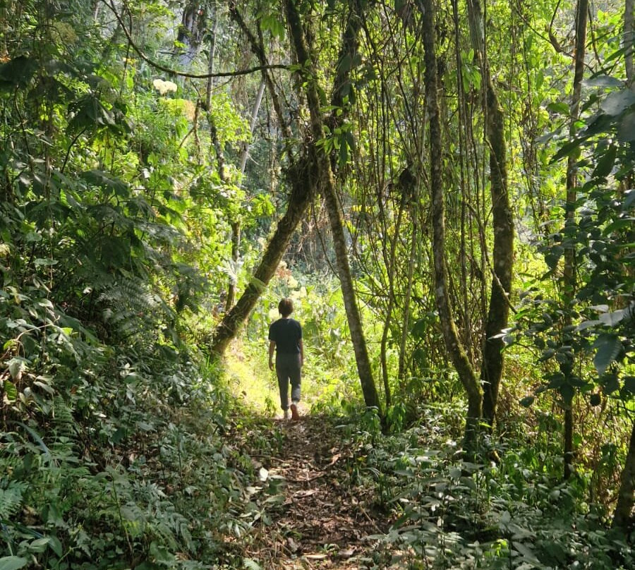 Onaya Peru Travel & Healing-Santa Teresa必去景点