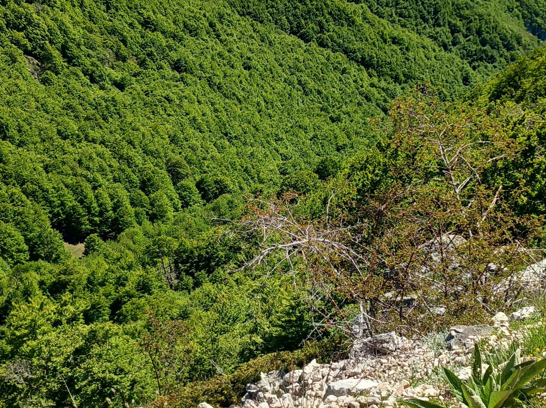 Lago Della Duchessa-Borgorose必去景点