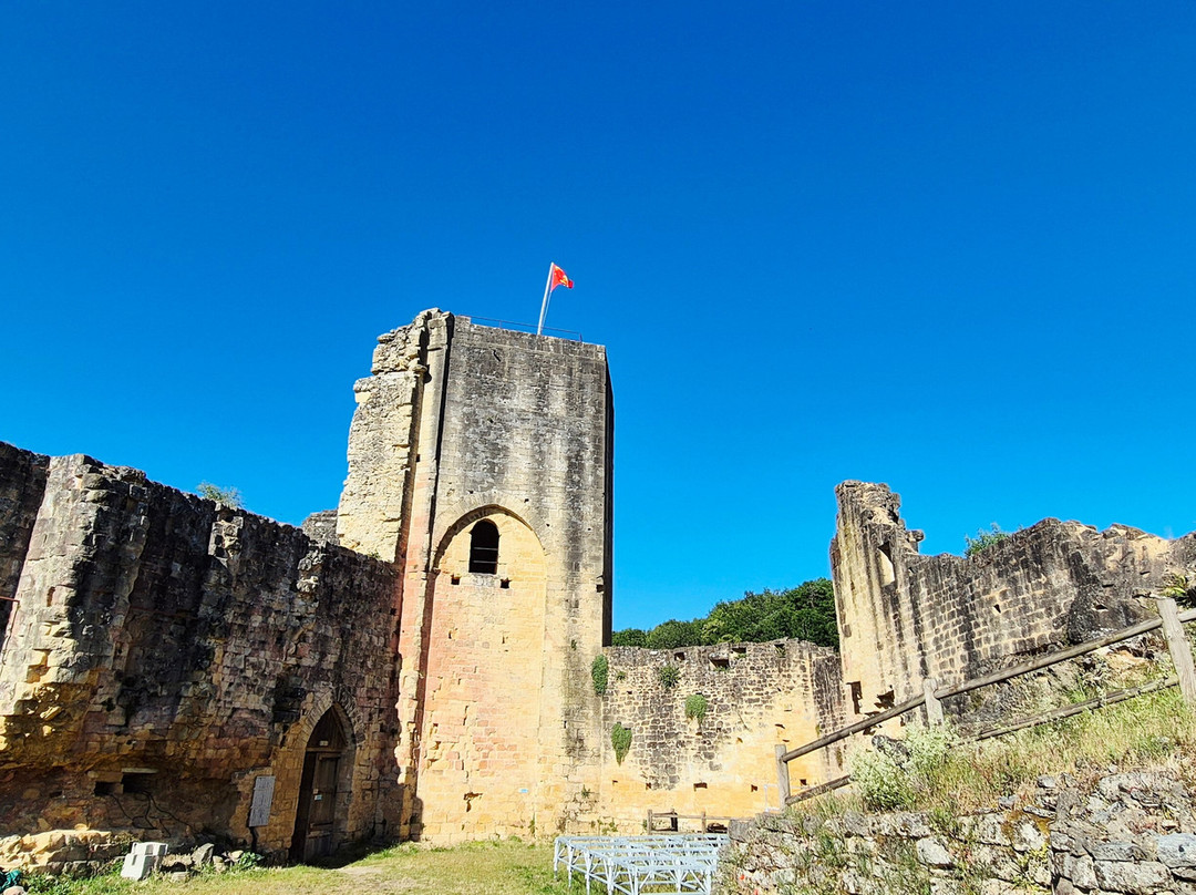 Chateau de Carlux景点图片