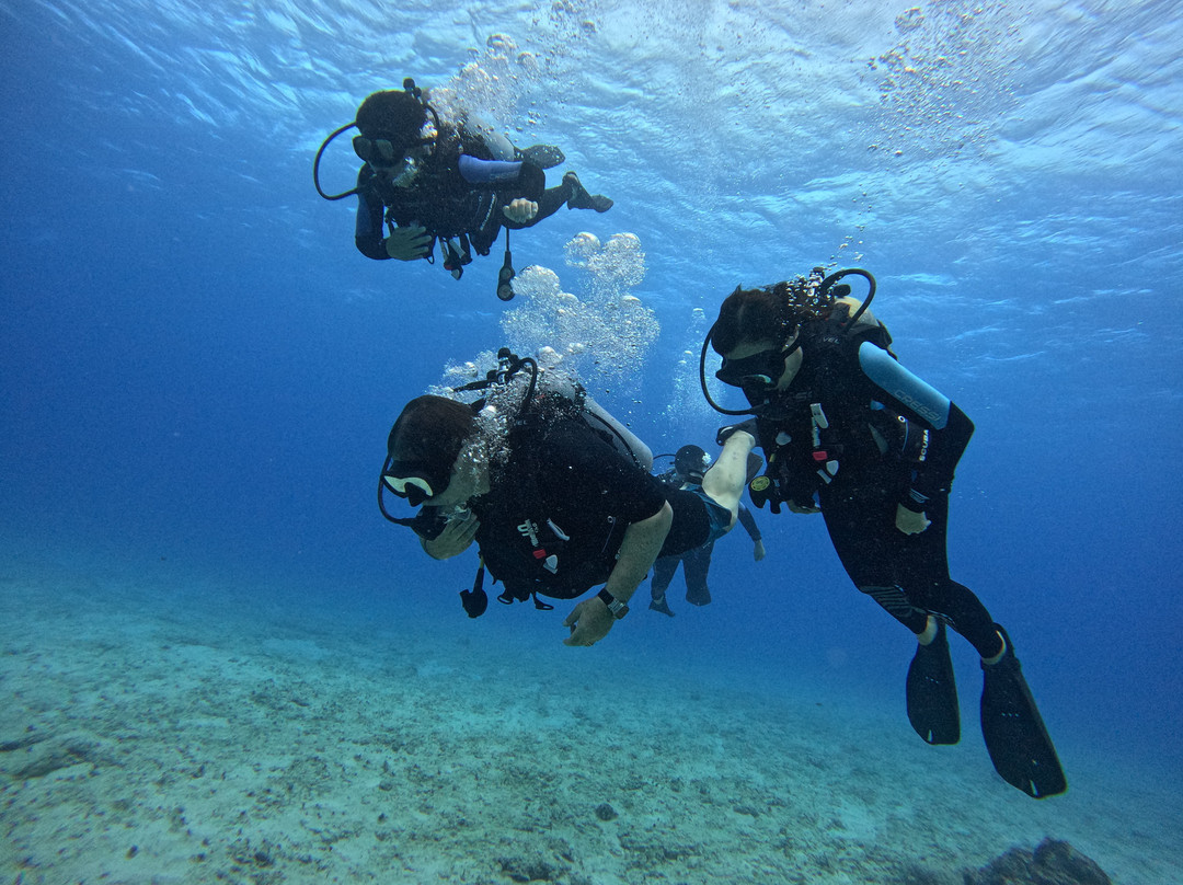 Big Kahuna Water Sports-火奴鲁鲁必去景点