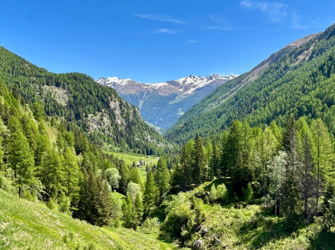 Lago di Pian Palù景点图片