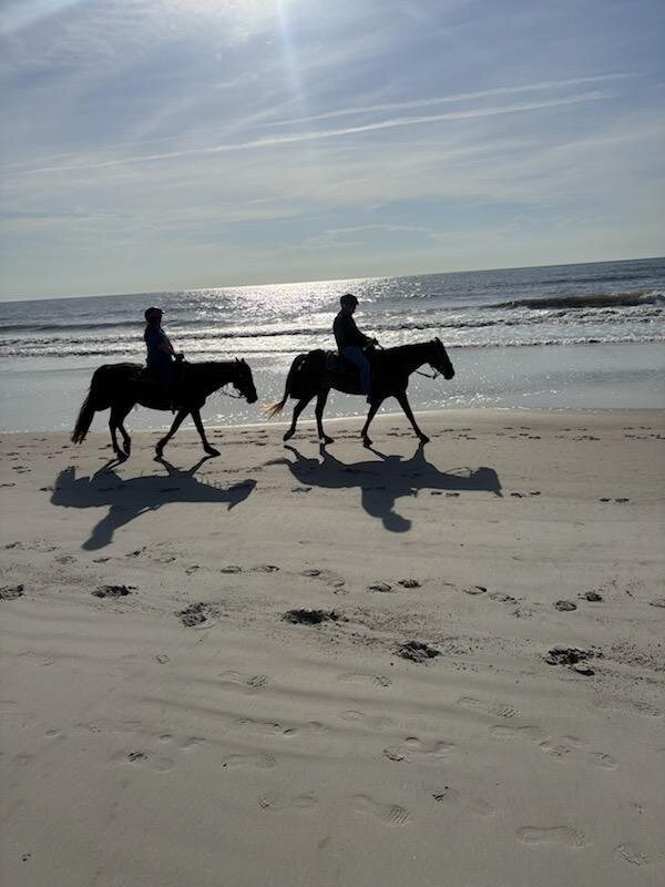Happy Trails Walking Horses-费尔南迪纳岛必去景点