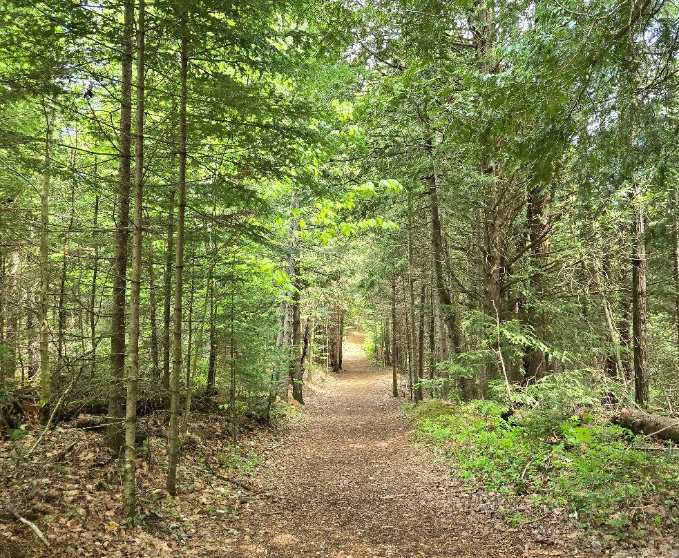 John Brown Farm State Historic Site-普莱西德湖必去景点