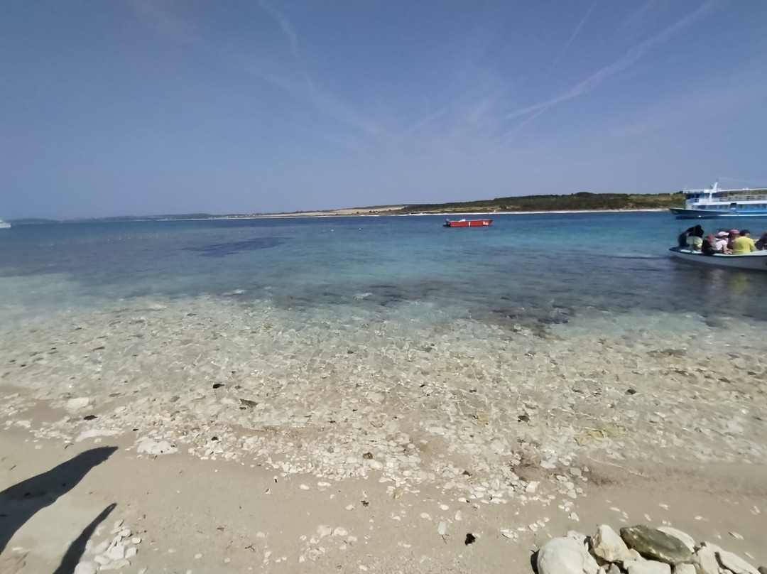 Tajana & Zlatni Rat Excursions-梅杜林必去景点