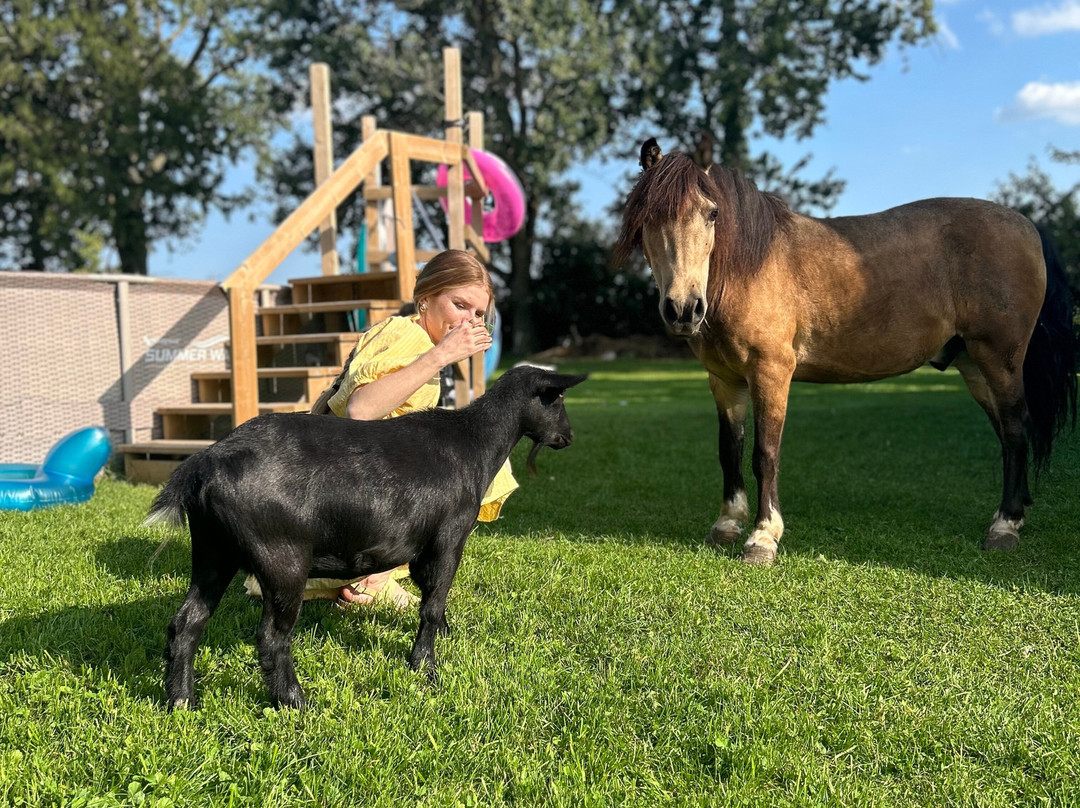 Cherry Lane Acres-圣玛丽必去景点