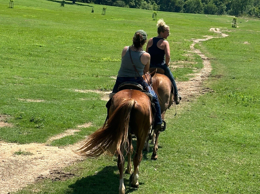 River Man Trail Rides-Broken Bow必去景点
