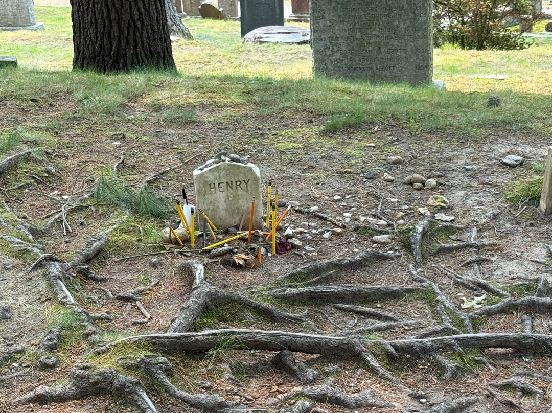 Sleepy Hollow Cemetery-康科德必去景点