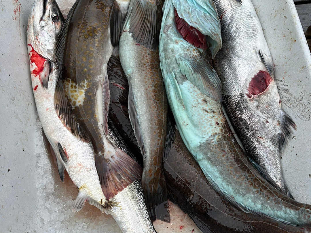 Reel Obsession Fishing Lodge Vancouver Island景点图片