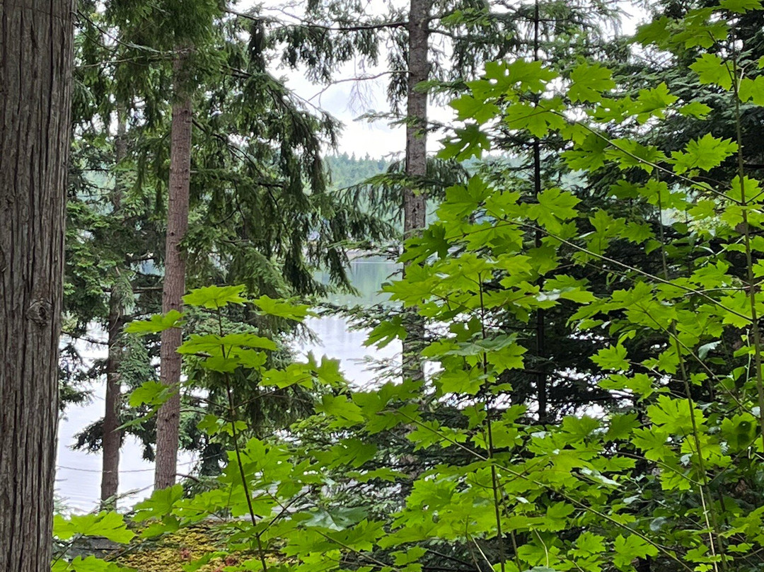 The Heron House主图