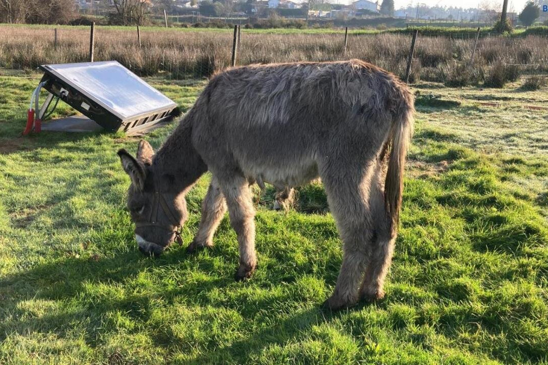 Casa da Avó Miquinhas