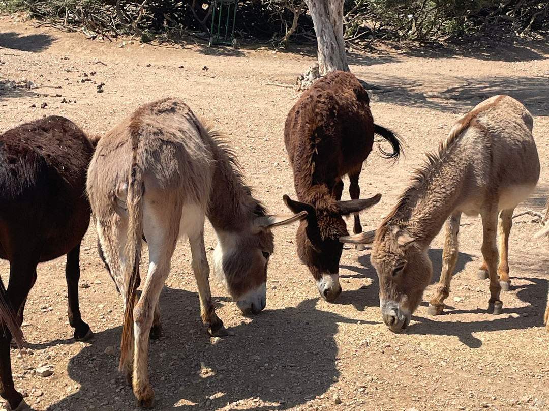 Saint Mary-切什梅必去景点