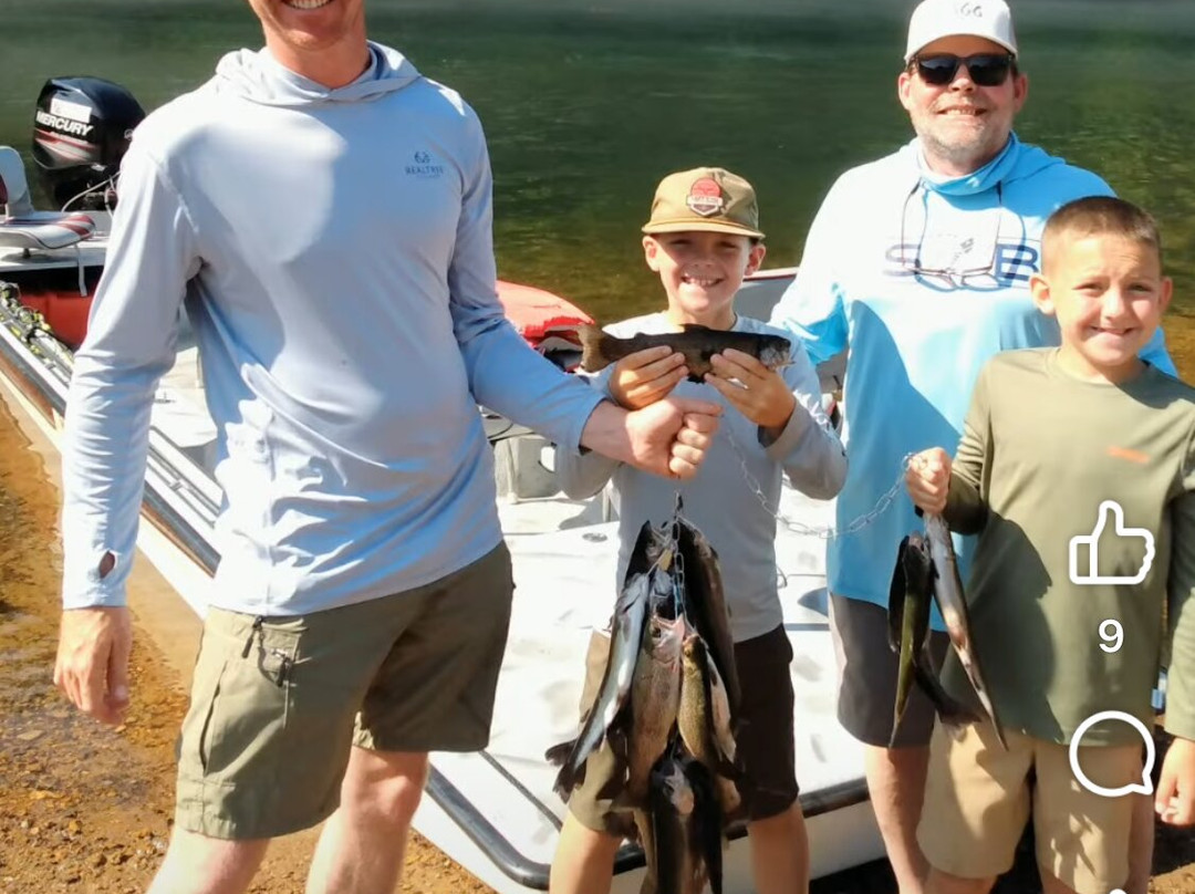 Cox's Guide Service-Bull Shoals必去景点