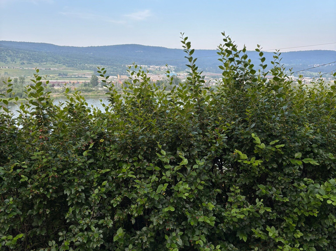 Lakeside Motel主图