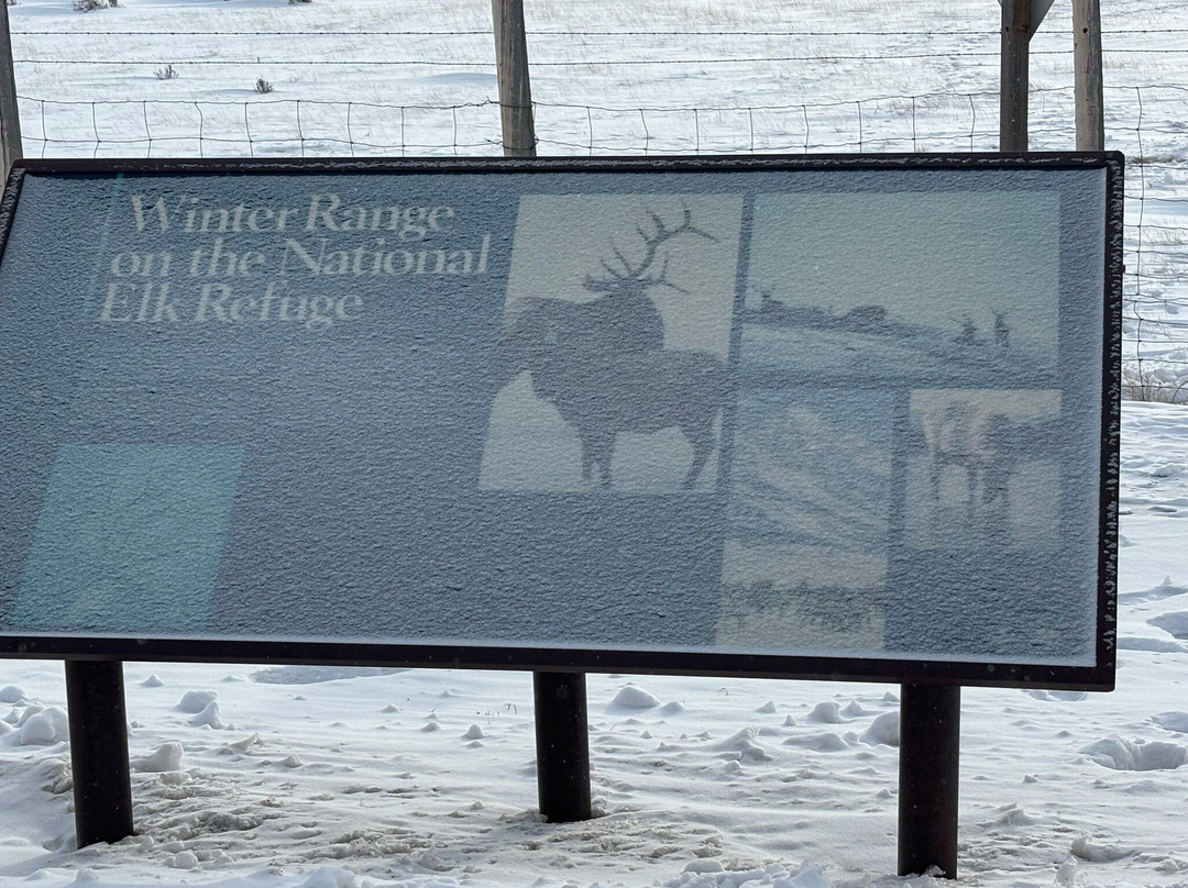 国家麋鹿保护区-杰克逊必去景点