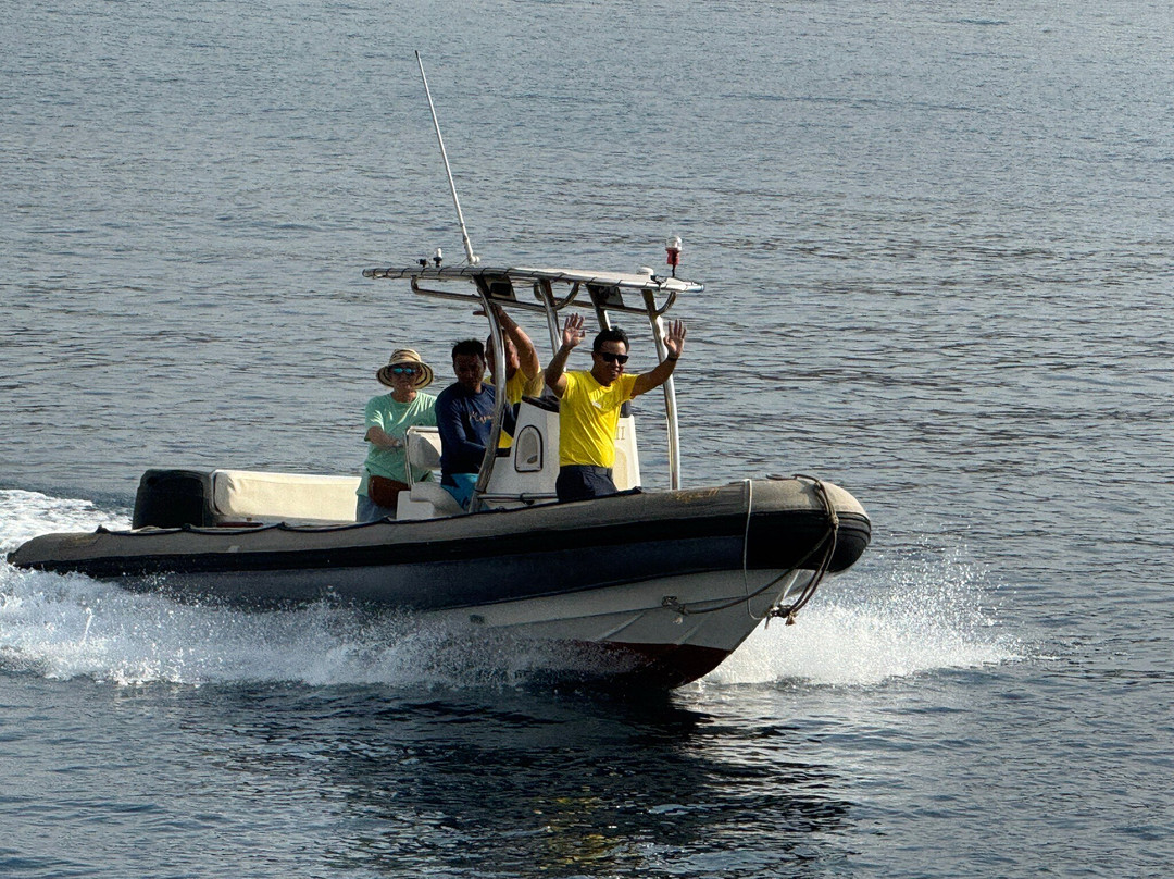 Magia 2-科莫多必去景点