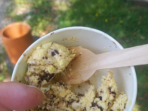 Oakmere Alpacas-Oakmere必去景点